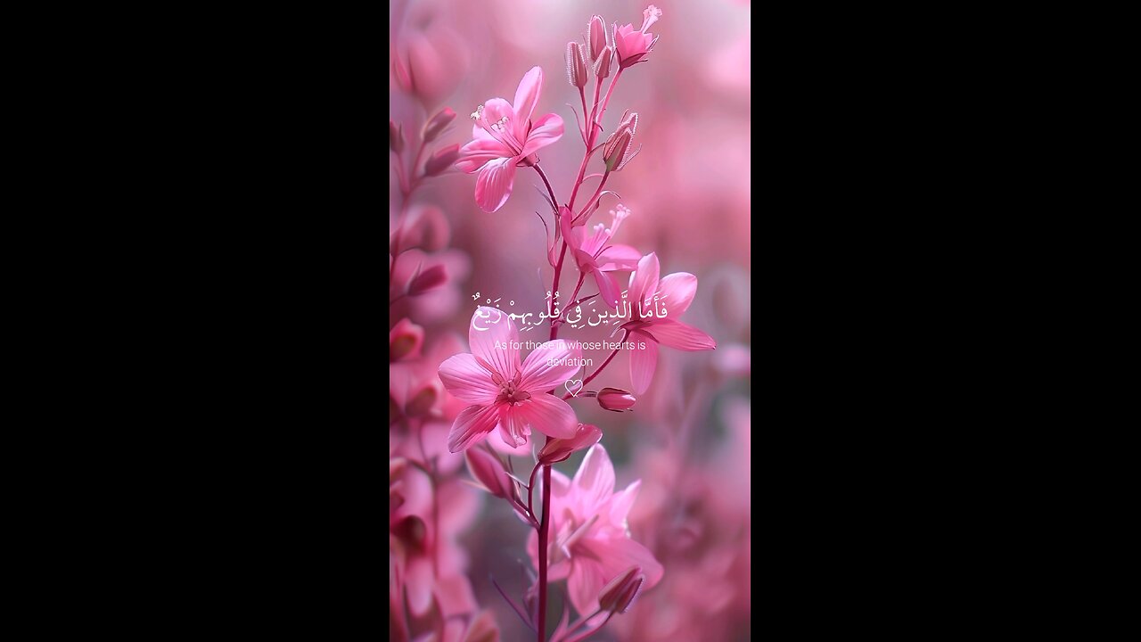Beautiful recitation of Quran