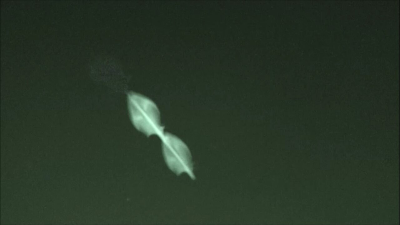 UFO IDENTIFIED Barbell ET Drones Over Adelaide 6 to 10 May 2025