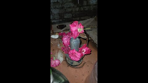 puja