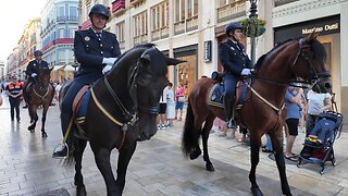 You Don’t See This Every Day! 🐴 Spanish Mounted Police