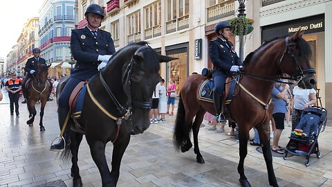 You Don’t See This Every Day! 🐴 Spanish Mounted Police
