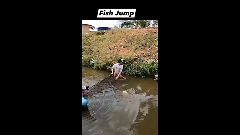 fish jumping from net