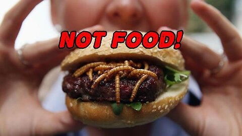 "Discover Why Bugs Aren't Food: An In-depth Analysis by KILLUMINATI13420"
