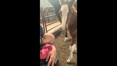 Baby meeting the Baby
