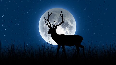 Buck Moon