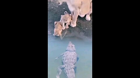 jungle King mother