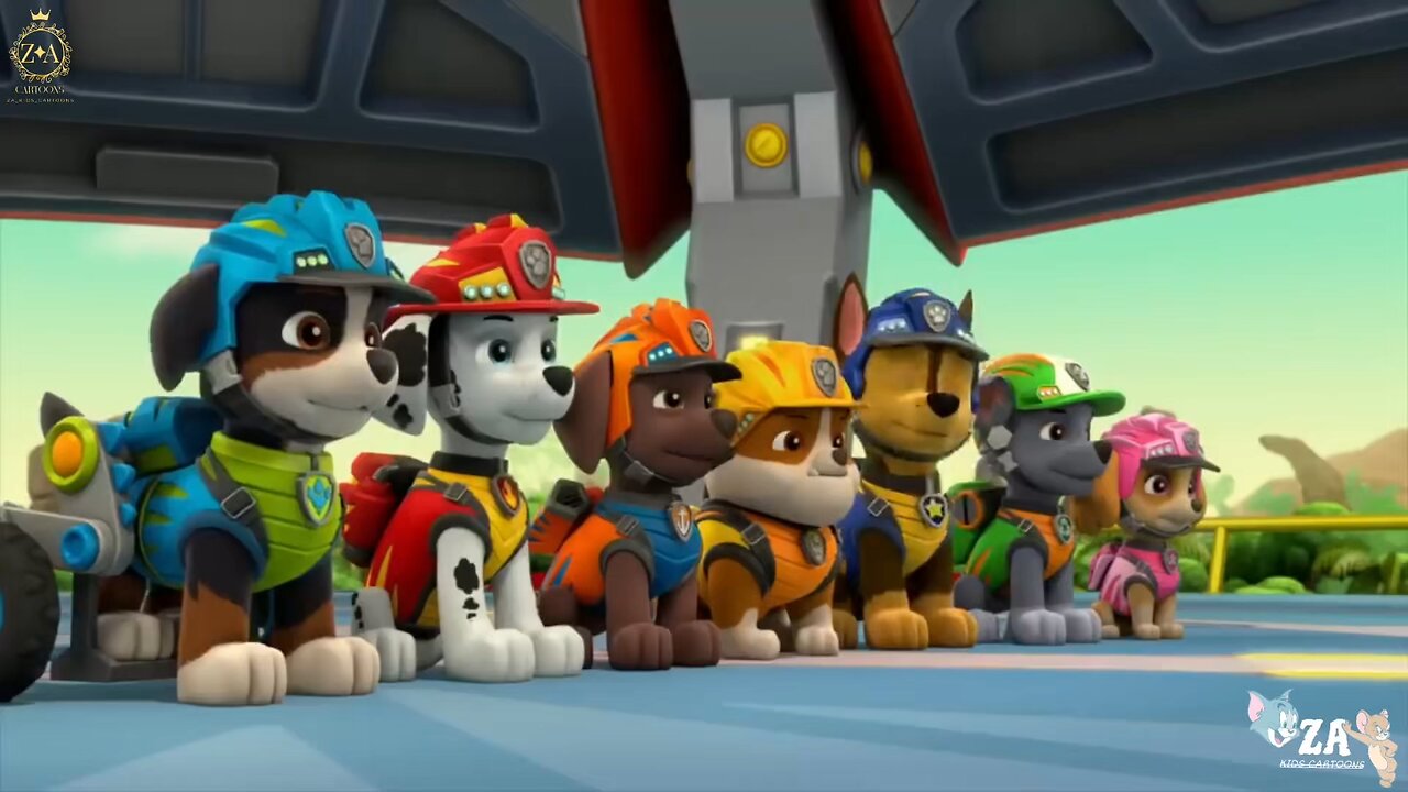 PAW Patrol Cartoons