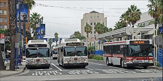 Long Beach Transit New Flyer buses and a Torrance Transit Gillig lined up on Long Beach Blvd. in dow