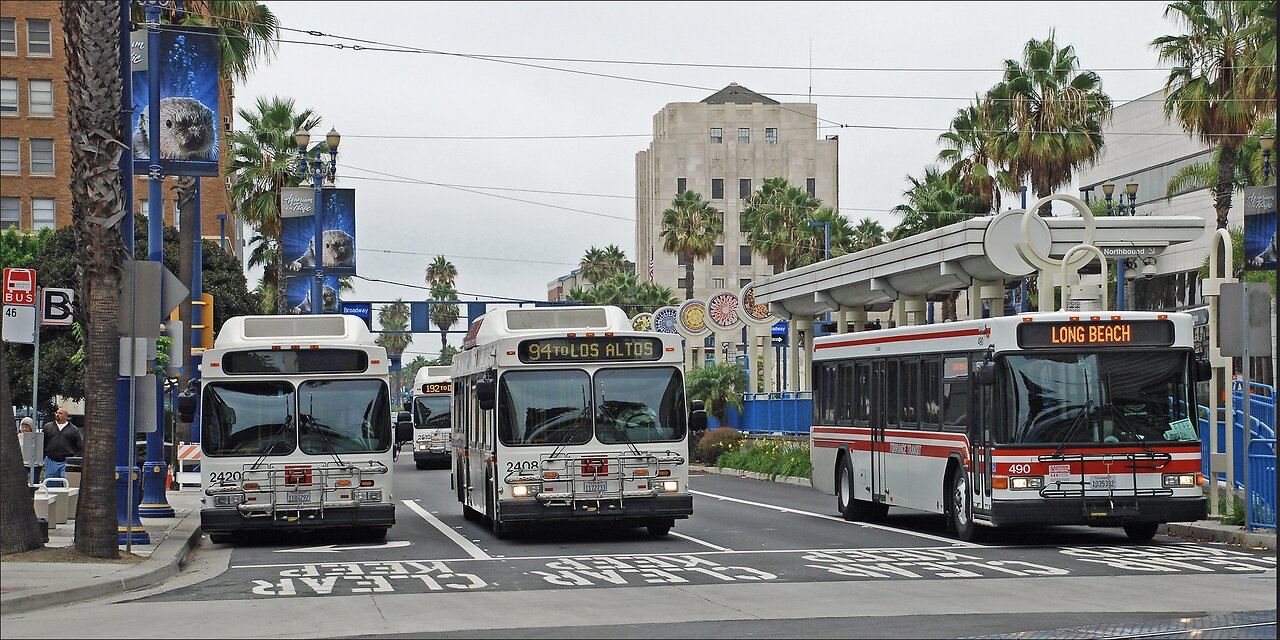 Long Beach Transit New Flyer buses and a Torrance Transit Gillig lined up on Long Beach Blvd. in dow