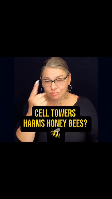 Cell Towers Harms Honey Bees? 🐝 #talk #asl #deaf #signlanguage