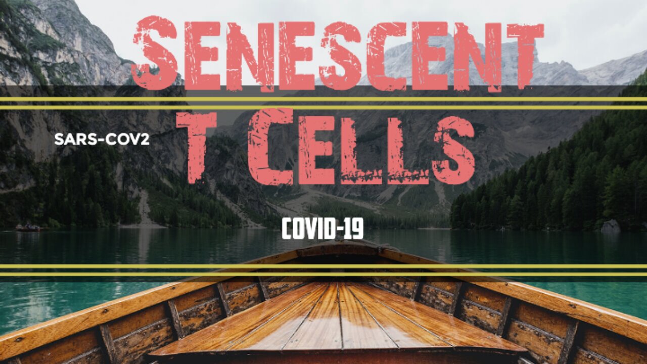 Covid-19 & Senescent T-cells