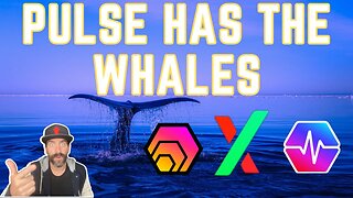 [Jan 3, 2022] PULSE HAS THE WHALES! #FollowTheSmartMoney! [MY LIFE IS AWESOME]