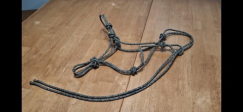 Spaghetti Cowboy Halter Part 2 Discussion