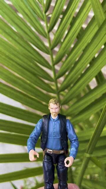 Meant to Post this Yesterday