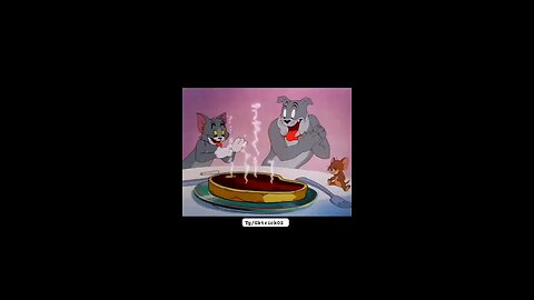 Tom & Jerry Cartoon