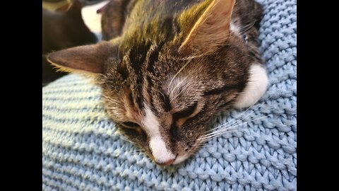 How to lower your blood pressure