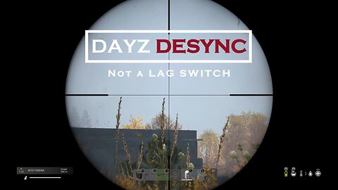 DAYZ DESYNC Not Lag Switching PS5 #dayz #dayzgamers #playstation #escapefromtarkov #gaming #fps