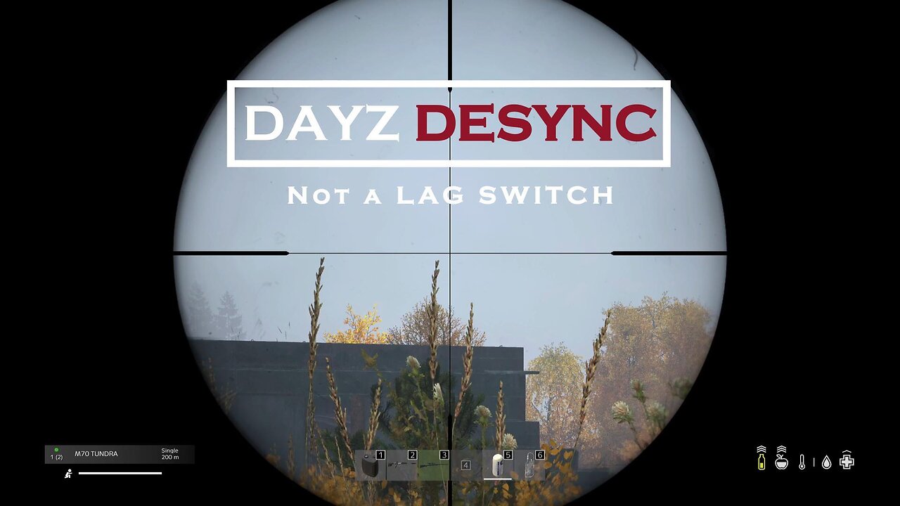 DAYZ DESYNC Not Lag Switching PS5 #dayz #dayzgamers #playstation #escapefromtarkov #gaming #fps