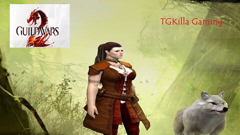 Guild Wars - Day 2: Questing and Leveling