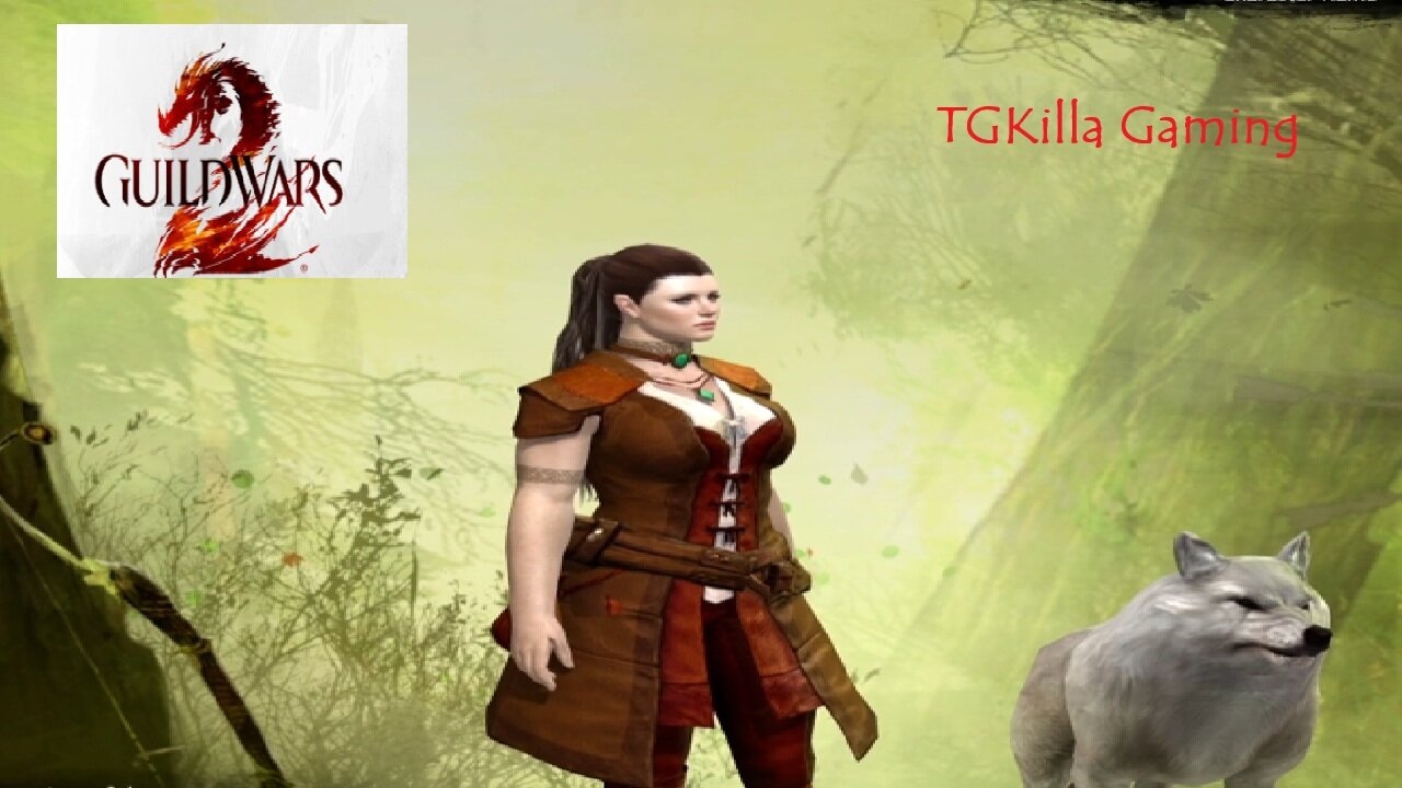 Guild Wars 2 - Day 2: Questing and Leveling