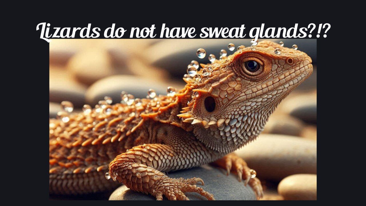 Fun Fact for Apr 3rd 2025 Pt 1