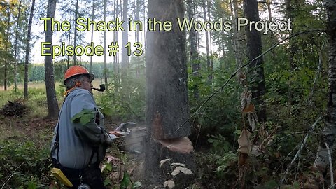 13 The Shack in the Woods Project: Felling Trees for the Sawmill