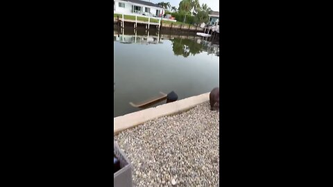 Livestream Highlight | Storms Blows Furniture Into Canal!