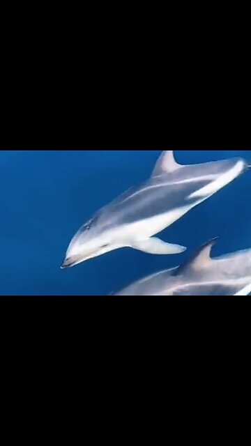 DEFEATING DISCOURAGEMENT - DAILY DEVOTIONAL ❤️