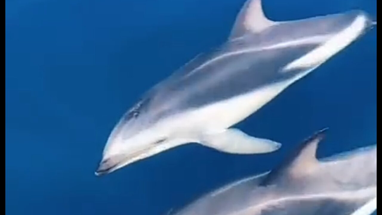 DEFEATING DISCOURAGEMENT - DAILY DEVOTIONAL ❤️