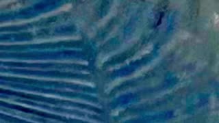 WAV - Half Whole Noise