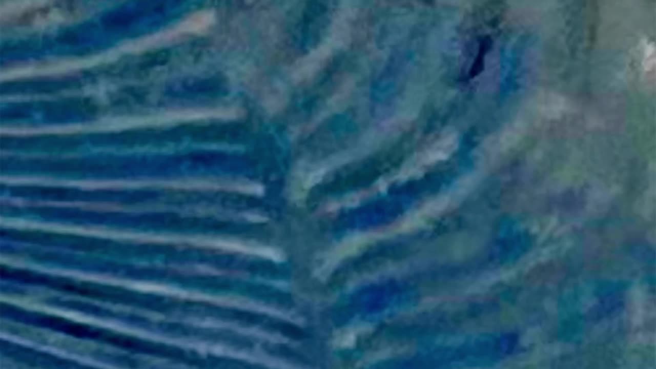 WAV - Half Whole Noise