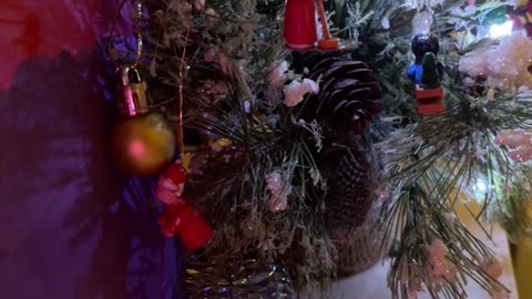 ✨Morning Rant 💿💫