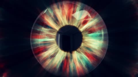 Hannibal Directive' At NOVA Festival