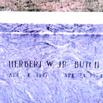 GUN LAWS IN ACTION - VOL. 422: THE MURDER OF HERBERT BUTCH