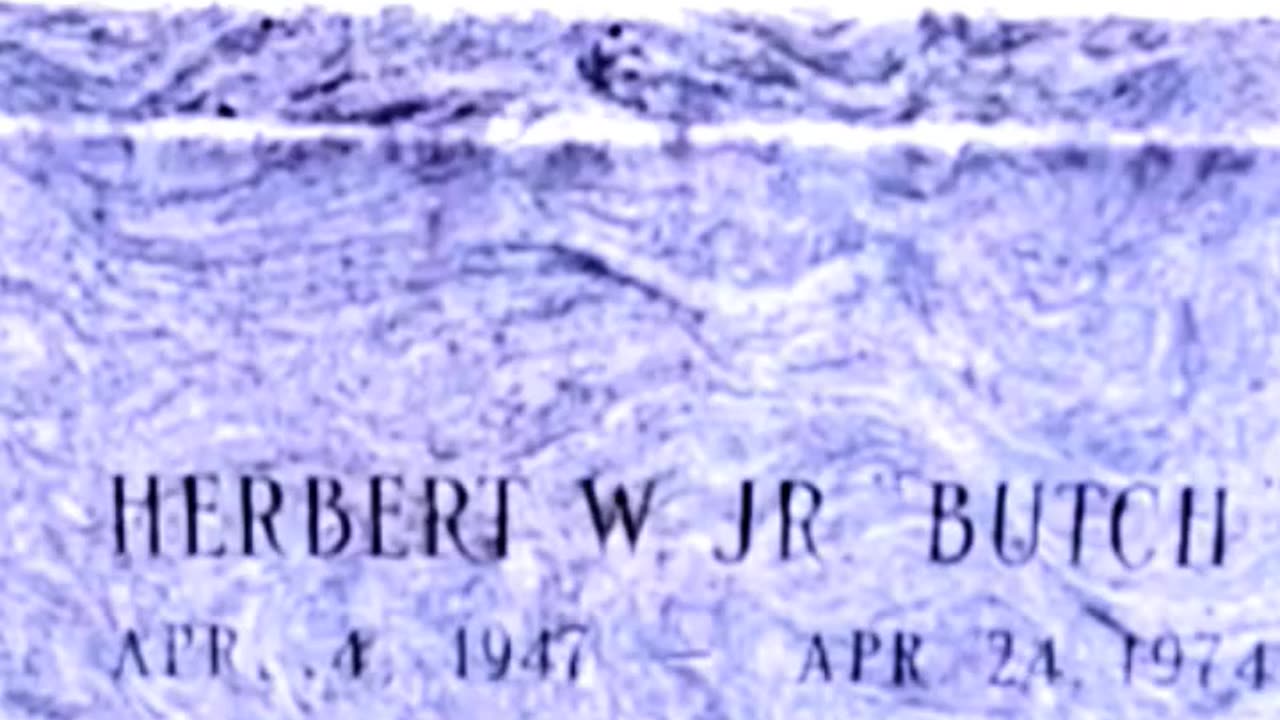 GUN LAWS IN ACTION - VOL. 422: THE MURDER OF HERBERT BUTCH