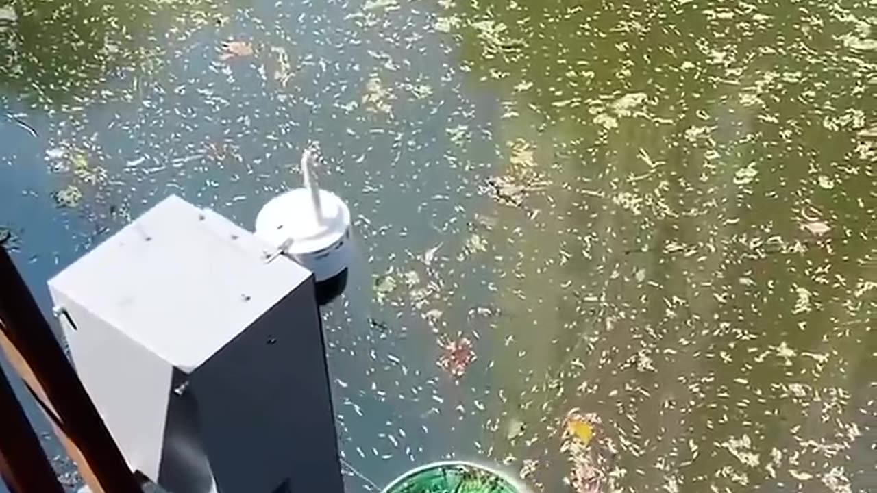 Would You Trust This Bin to Clean the Ocean
