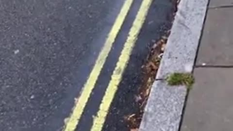 pedo Caught masturbating in front of a school of children in London