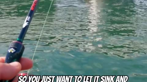 How to catch a fish using a grub