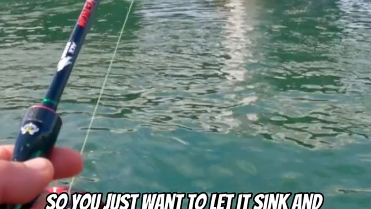How to catch a fish using a grub