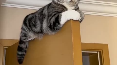 What is she Thinking??