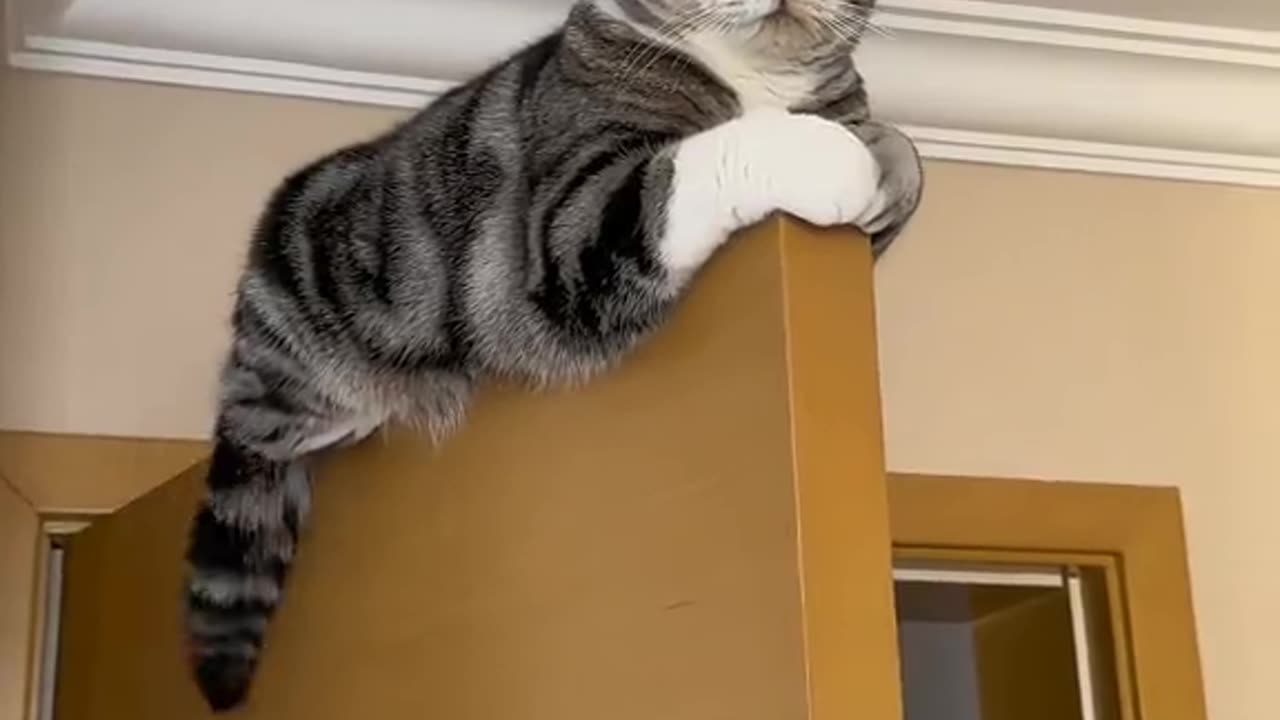 What is she Thinking??