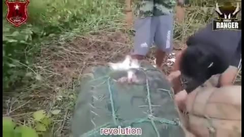 🌿🚨 Myanmar War | Guerrilla Ranger Forces Capture Starlink Devices from Junta Supply Drop | RCF