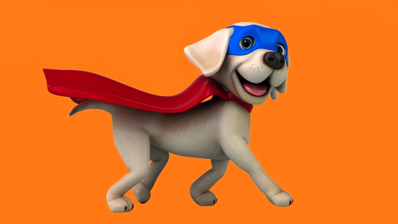 Gimang dog speadr