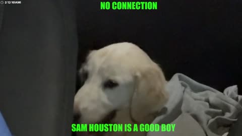 Making the best of the situation.