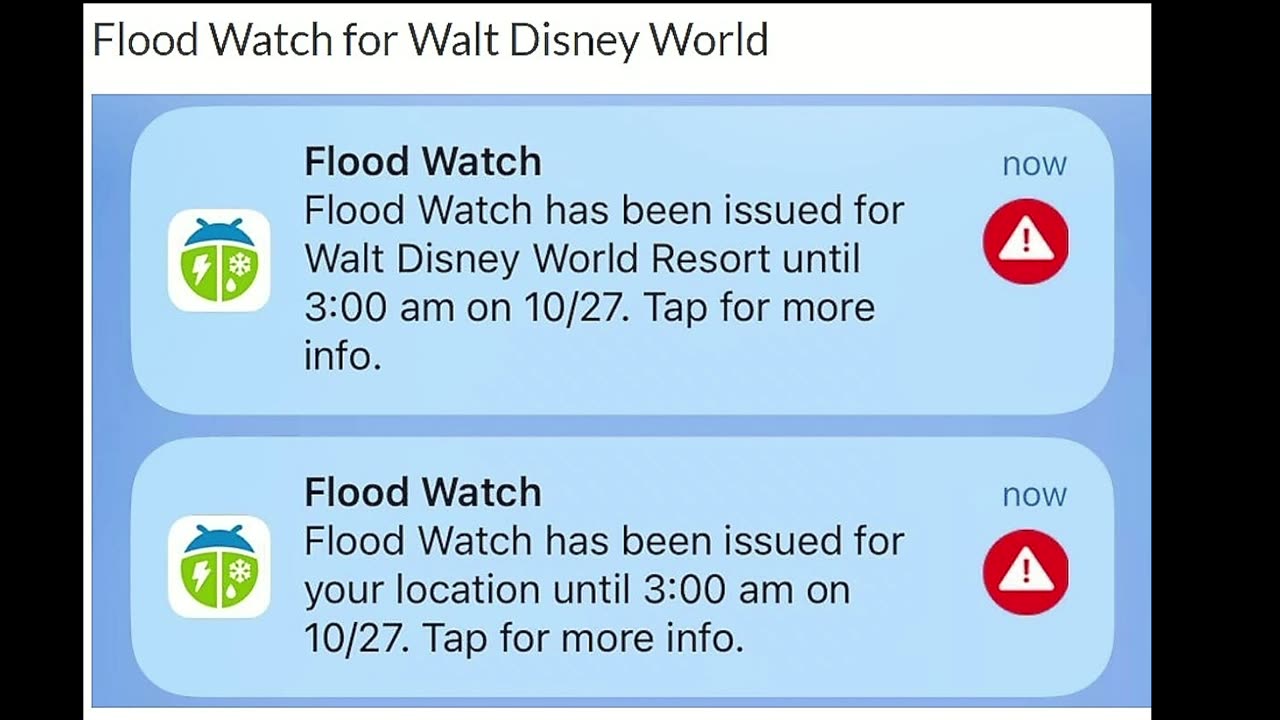 Walt Disney World Flood Watch, Alligators & Snakes Alert