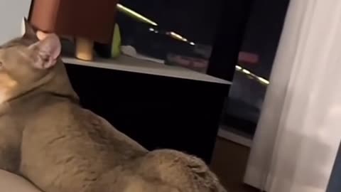 😘😂 Sensual Dance Fails Epicly! | FunFM