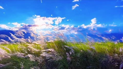 Soothing Nature – A Moment with Reeds, Sky, and Mountains