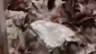 Soft landing of the Russian "Shahed" right on the highway. Masterful work of Ukrainian