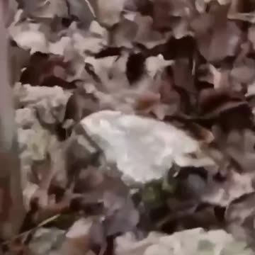 Soft landing of the Russian "Shahed" right on the highway. Masterful work of Ukrainian