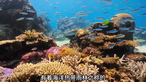 残暴的骇鸟杀死滑距貘幼崽，1500万年前，珊瑚礁帮助鱼类发展 #骇鸟 #滑距貘 #珊瑚 #鱼类